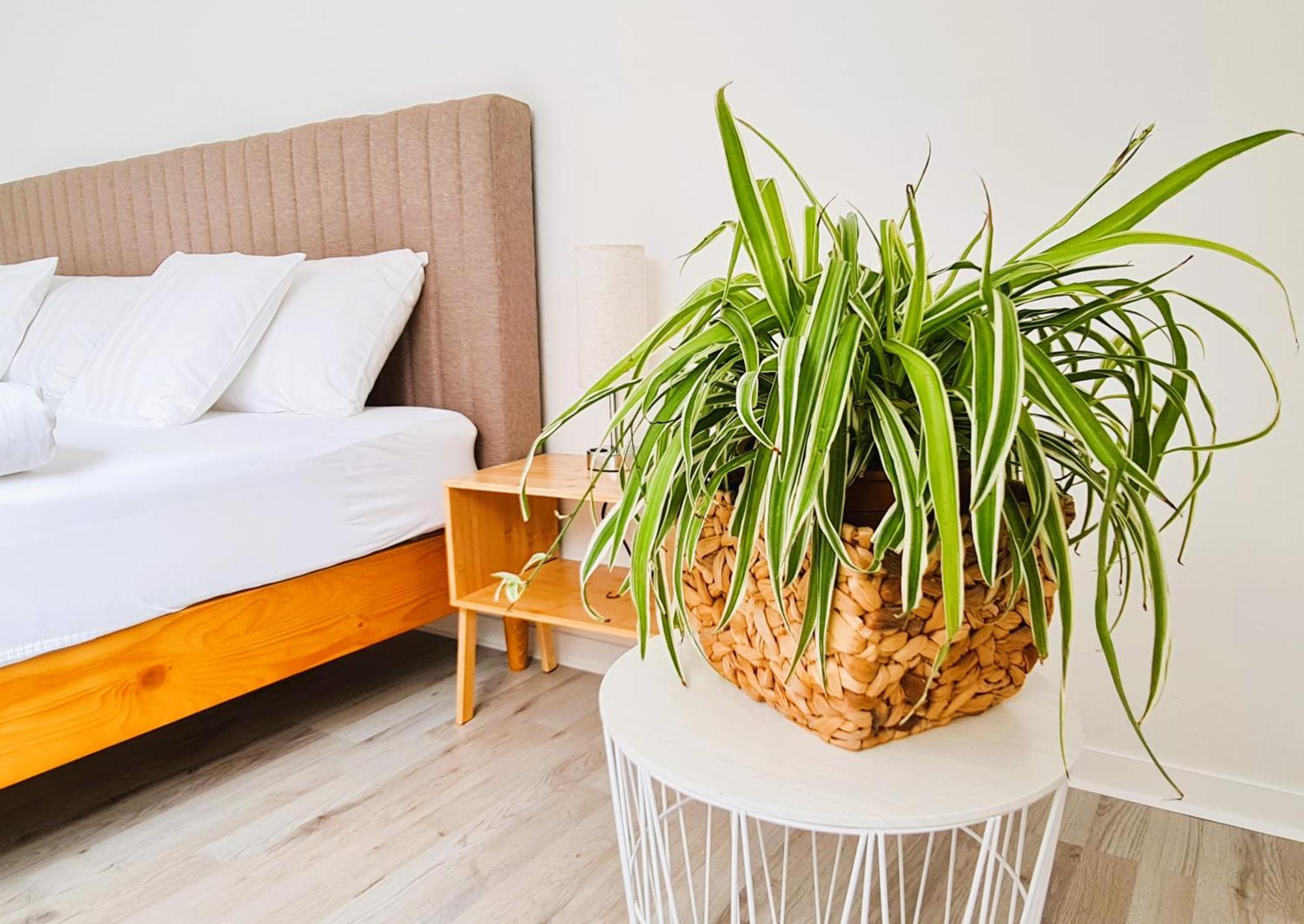 Apartment Naehe Airbus Manching Dış mekan fotoğraf